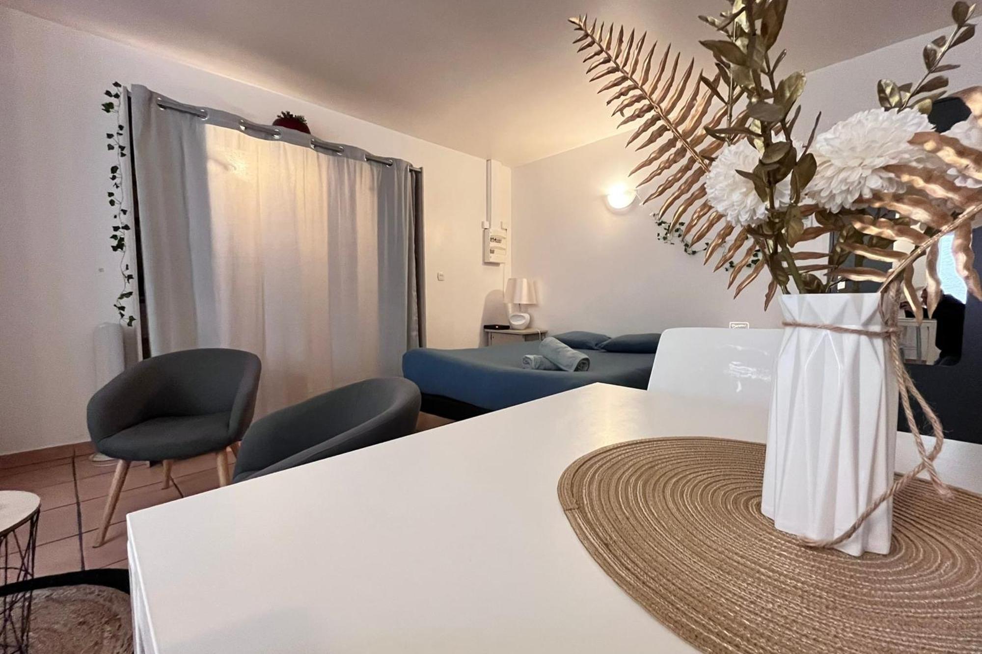 Le studio Théolier Appartamento Tournon-sur-Rhone Esterno foto