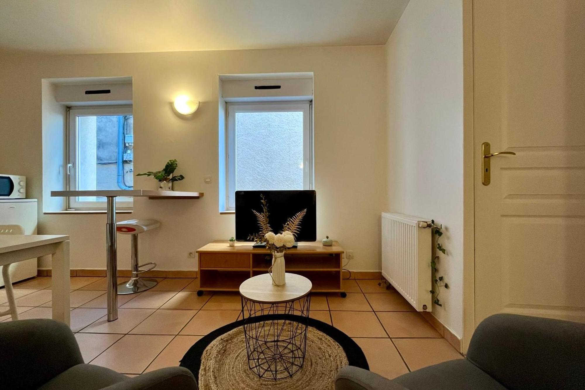 Le studio Théolier Appartamento Tournon-sur-Rhone Esterno foto