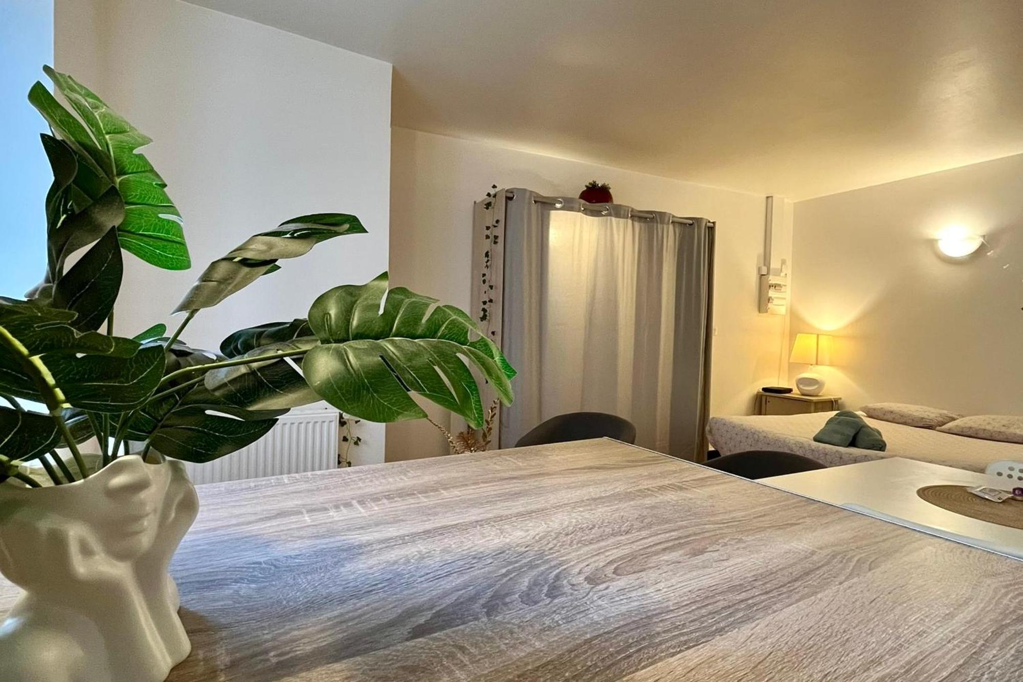 Le studio Théolier Appartamento Tournon-sur-Rhone Esterno foto